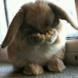 Meet your Posher, Loyda